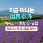 모두투어 비즈트립