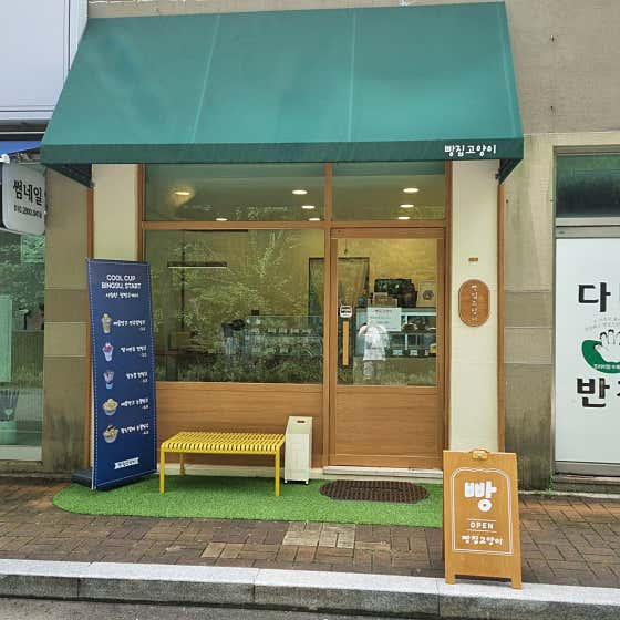 빵집고양이 사진