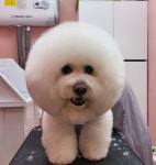 몽까듀