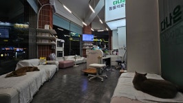 다나은동물의료센터