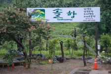 솔향 시흥 오리&닭백숙전문점