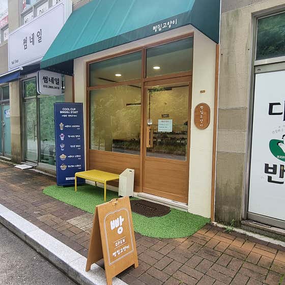 빵집고양이 사진
