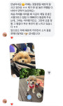 강아지분양 원퍼피 송파점