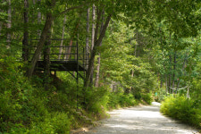 비채펜션&야영장