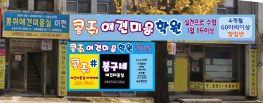 콩쥐애견아카데미