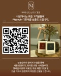 노블리체청담