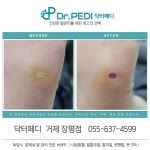 닥터페디 거제고현점