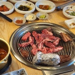 담양식 육미향 화성향남본점