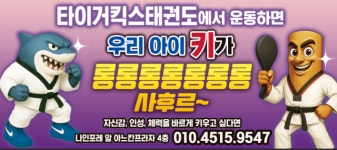 타이거킥스태권도 지축점