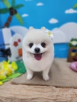그루밍츄