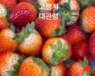 블리스테이블 미사역점