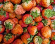 블리스테이블 미사역점