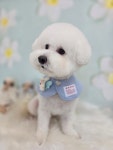 쁘띠몽몽
