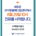 브이동물메디컬센터