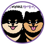 머리하고 놀다올개