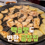 막둥이네양곱창