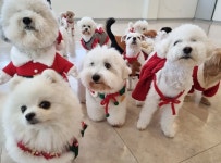 개바라기 수성구점