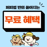 퍼피럽 강아지분양 고양이분양 군산본점