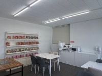 머리하고 놀다올개