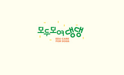반려견학교 모두모여댕댕 모모댕댕 스쿨