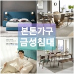 금성침대 본톤가구 원대점