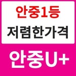 LG유플러스 안중읍 안중점