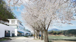 에코힐링키즈풀빌라펜션