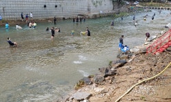 일영 미루나무집 & 민박