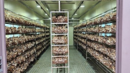 미래스마트팜