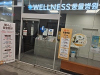 웰니스 동물병원