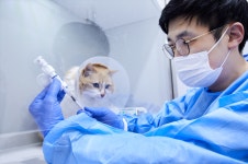 서울동물메디컬센터