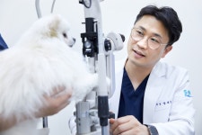 서울동물메디컬센터