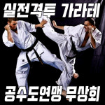 실전가라테 무상회 극진공수도