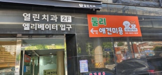 둘리 애견 미용