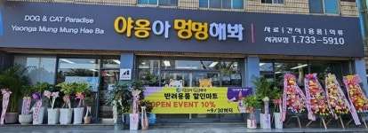 야옹아 멍멍해봐 서귀포점