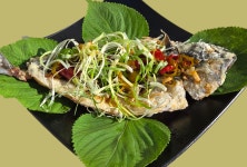 노형주유소포차