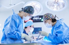 서울동물메디컬센터
