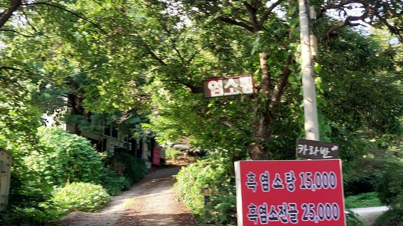 삼돌네염소탕