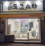 도그스타