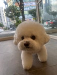 포댕포댕