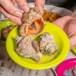 회신랑조개각시