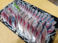 준영이네숙성횟집