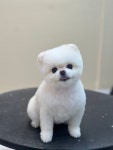 그루밍574