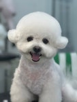 그루밍574