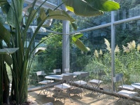 어반플랜트 수영점