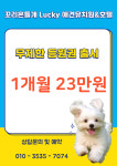 청주 애견유치원 꼬리흔들개Lucky