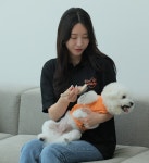 딩굴댕굴 애견미용 송탄점