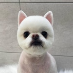 현대동물병원
