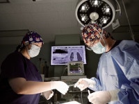 24시부천이지동물의료센터