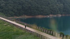 품에고모리